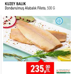 KUZEY BALIK DONDURULMUŞ ALABALIK FİLETO 500 G fiyat ve kampanya bilgisi